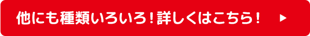 他にも種類いろいろ！詳しくはこちら！